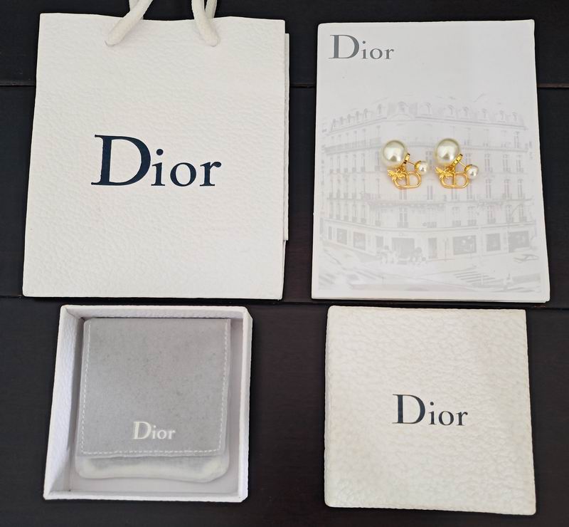 Dior Earring 04yxs25